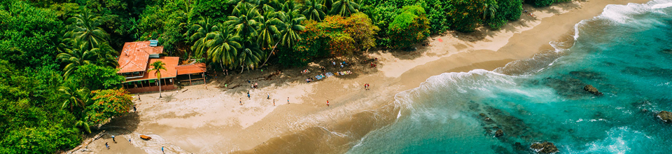 Widok tropikalnego wybrzeża z lotu ptaka, z piaszczystą plażą i bujnymi palmami.